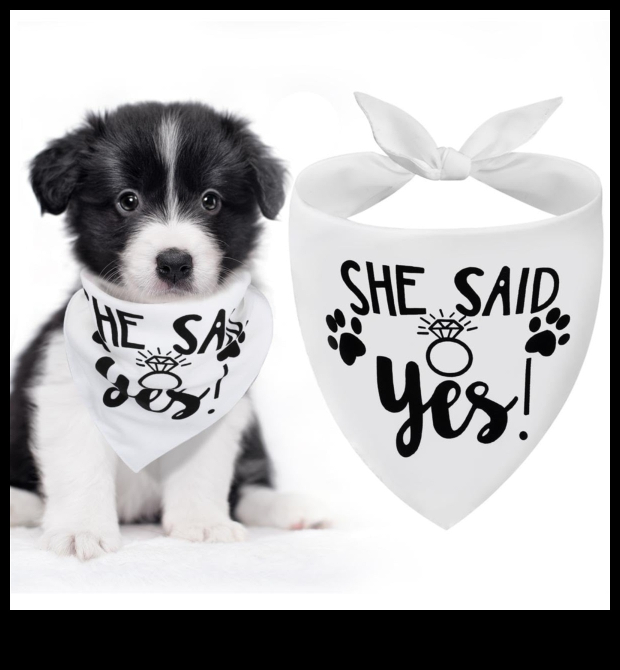 Doggy Decor Dazzle: שדרוג הסגנון של הכלב שלך עם האביזרים האחרונים