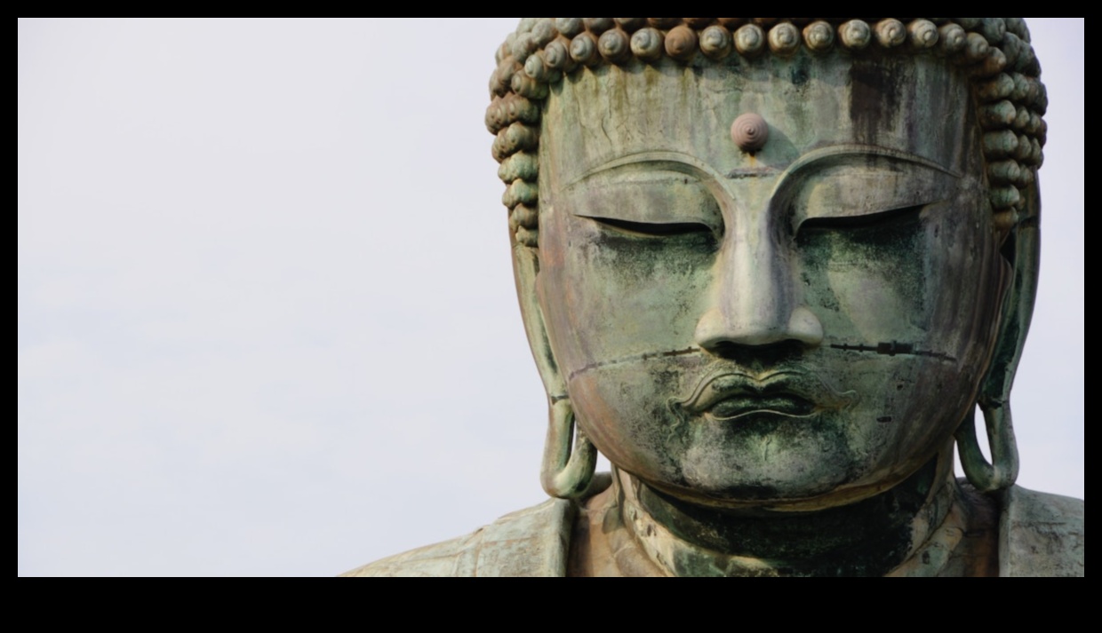 שליטה מודעת: האבולוציה של מדיטציה