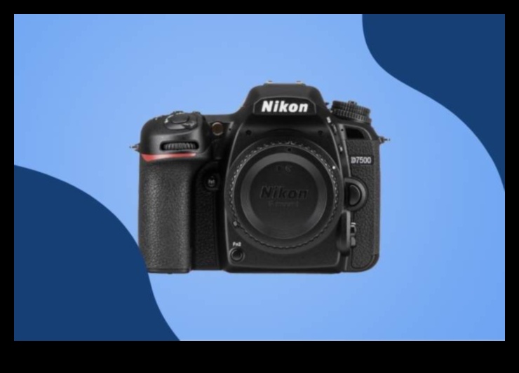 Shutter Symphony: בחירת המצלמות הטובות ביותר ללכידת רגעים