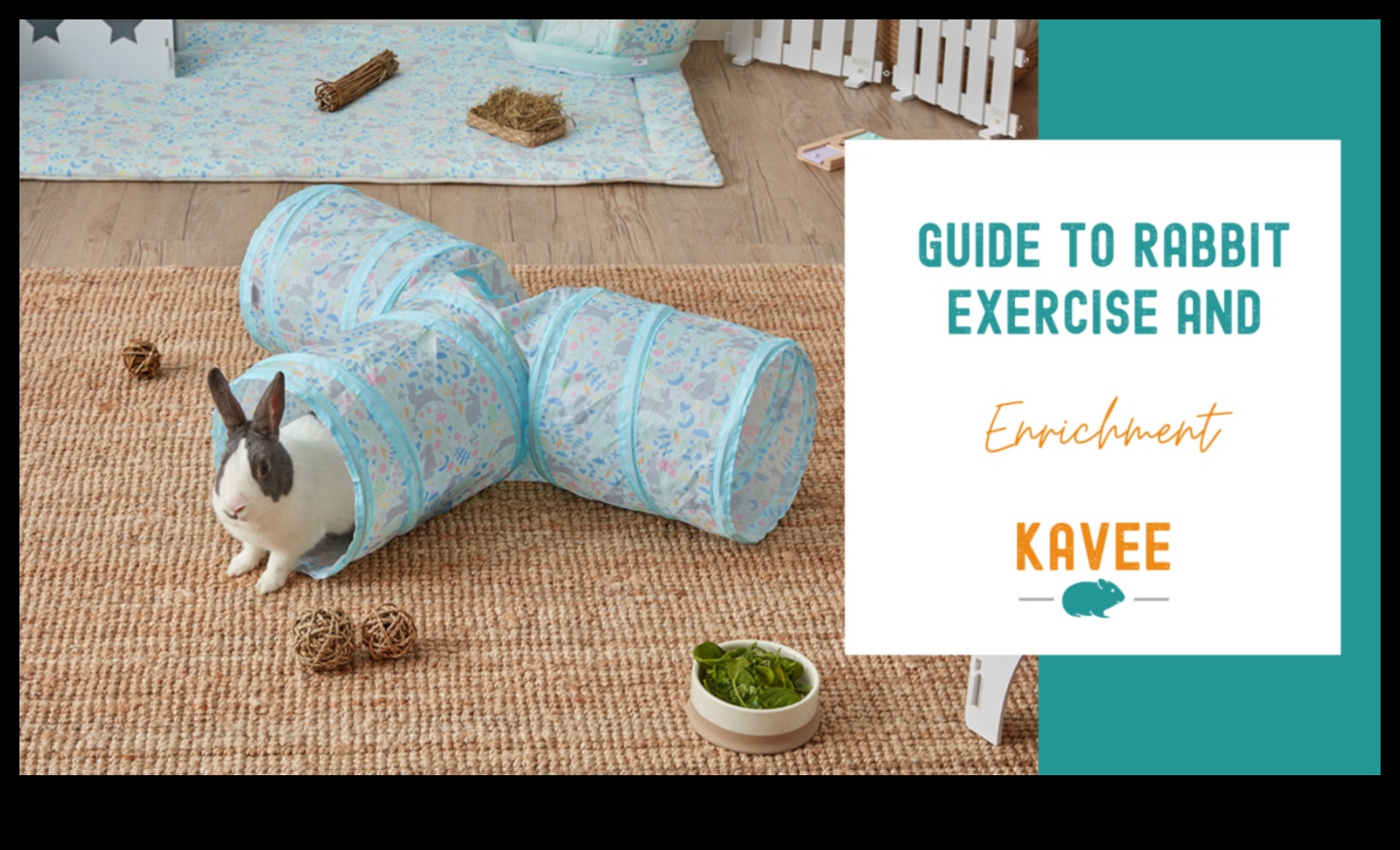 באני בליס: פעילויות מעשירות לארנבים שובבים