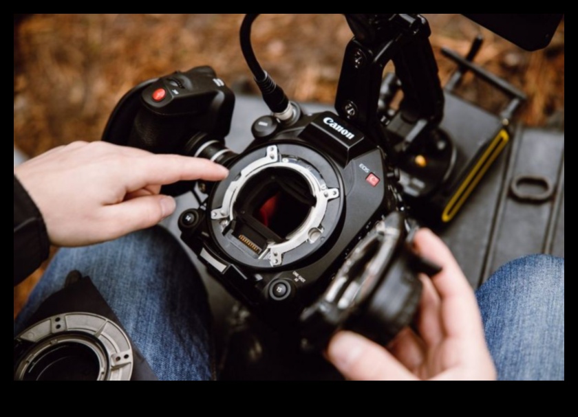 חופש פריים מלא: מצלמות עם חיישני תמונה גדולים