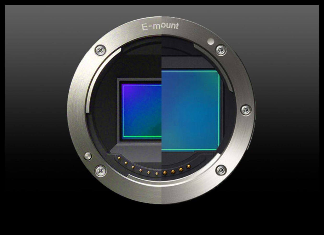 חופש פריים מלא: מצלמות עם חיישני תמונה גדולים