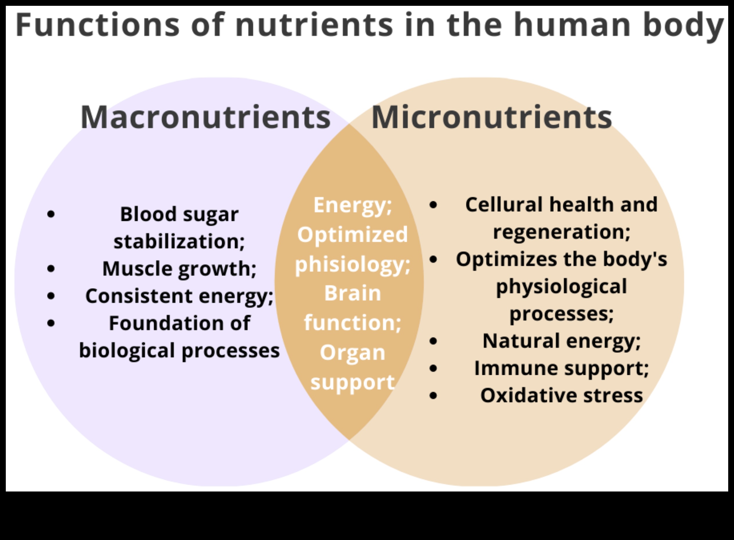 ספקטרום התזונה: צלילה לתוך יסודות חיוניים