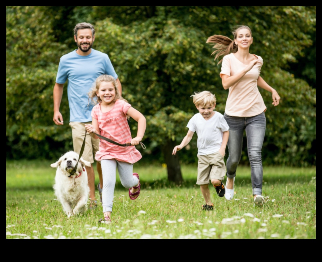 הרפתקאות בחוץ: חקר פעילויות חוץ בטוחות עם חיות מחמד