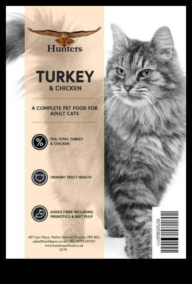 אנין חתולים: טיפים לבחירת מזון איכותי לחתולים