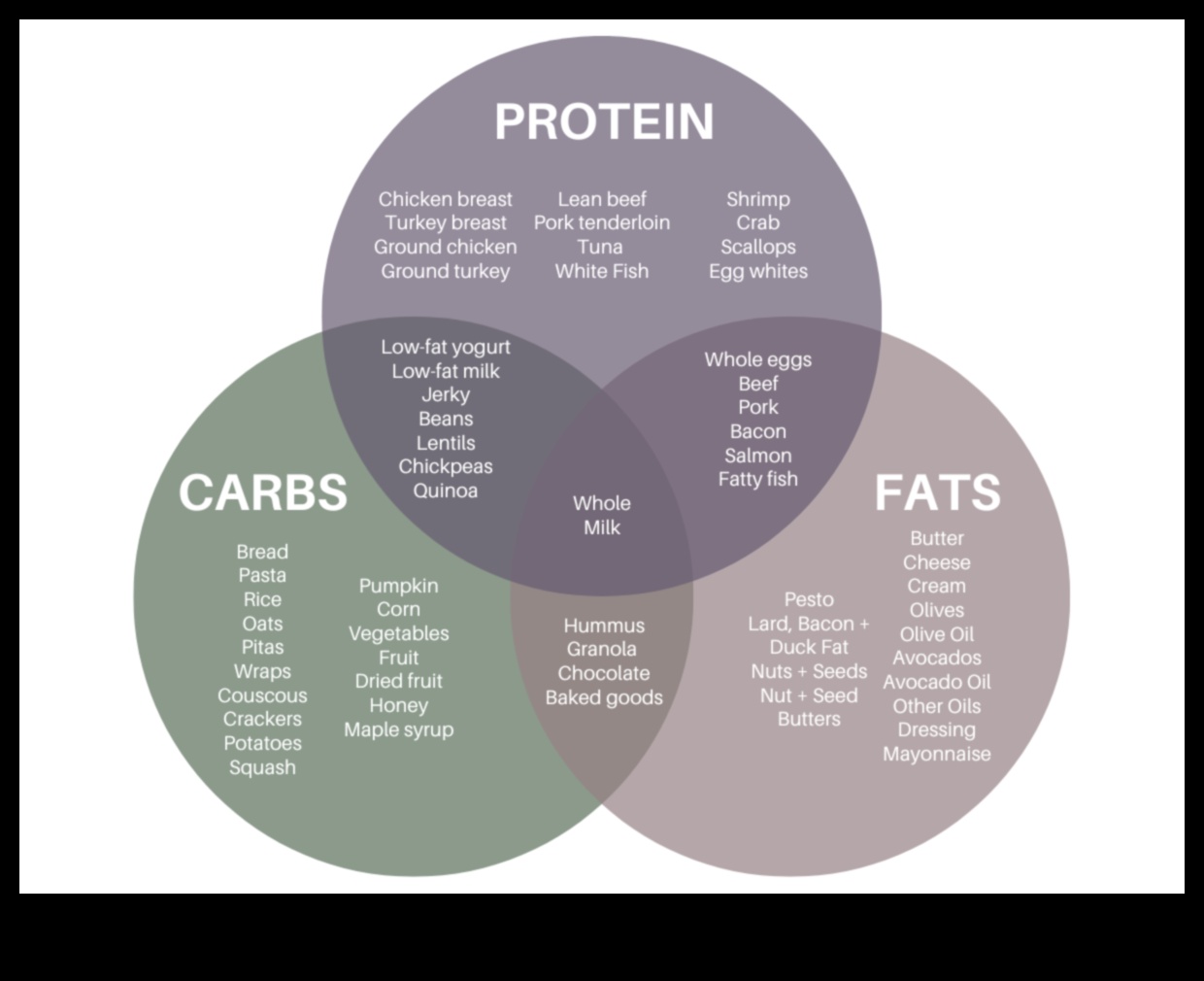מקרונוטריינטים חיוניים 101: מדריך למתחילים לרווחה