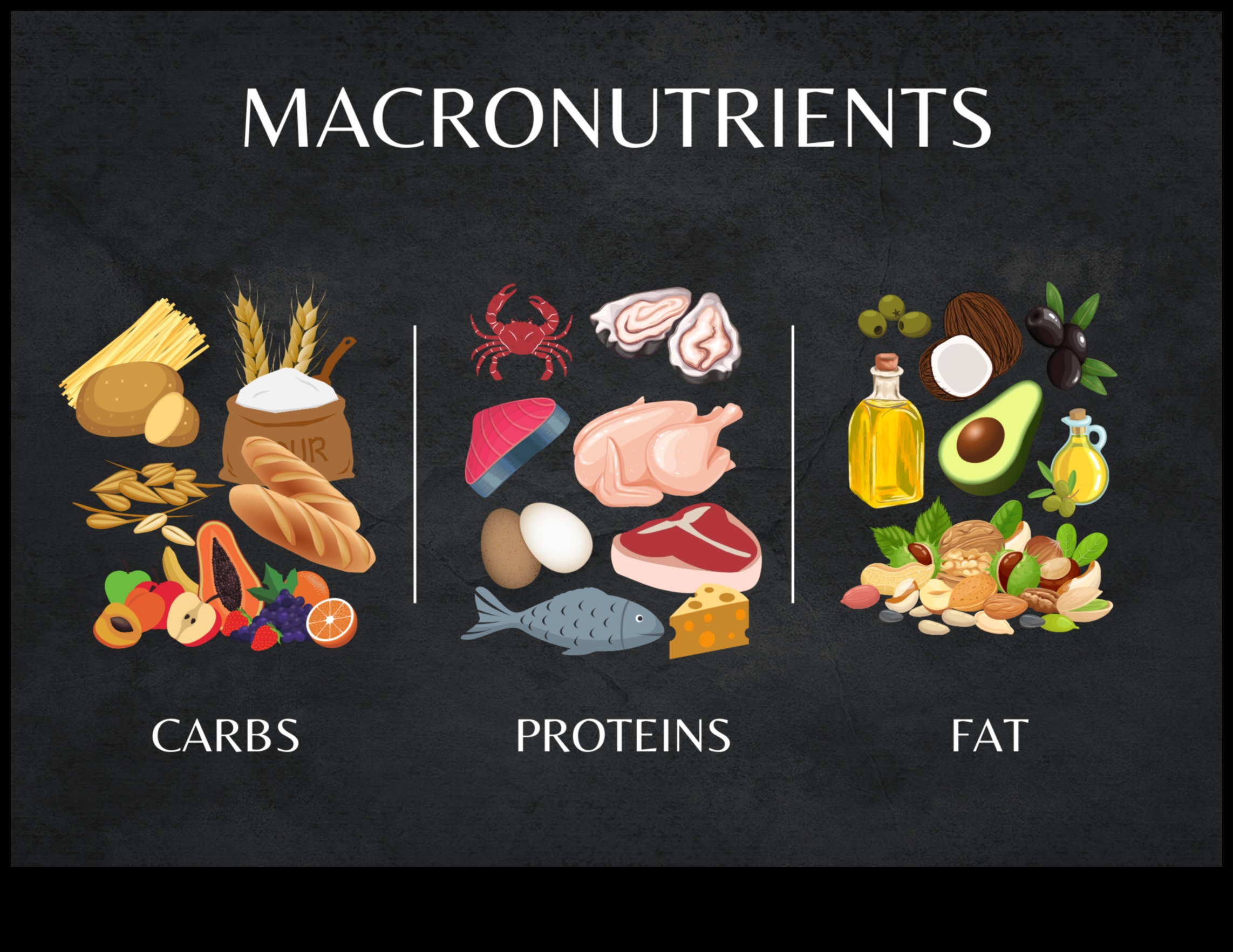 מקרונוטריינטים חיוניים 101: מדריך למתחילים לרווחה