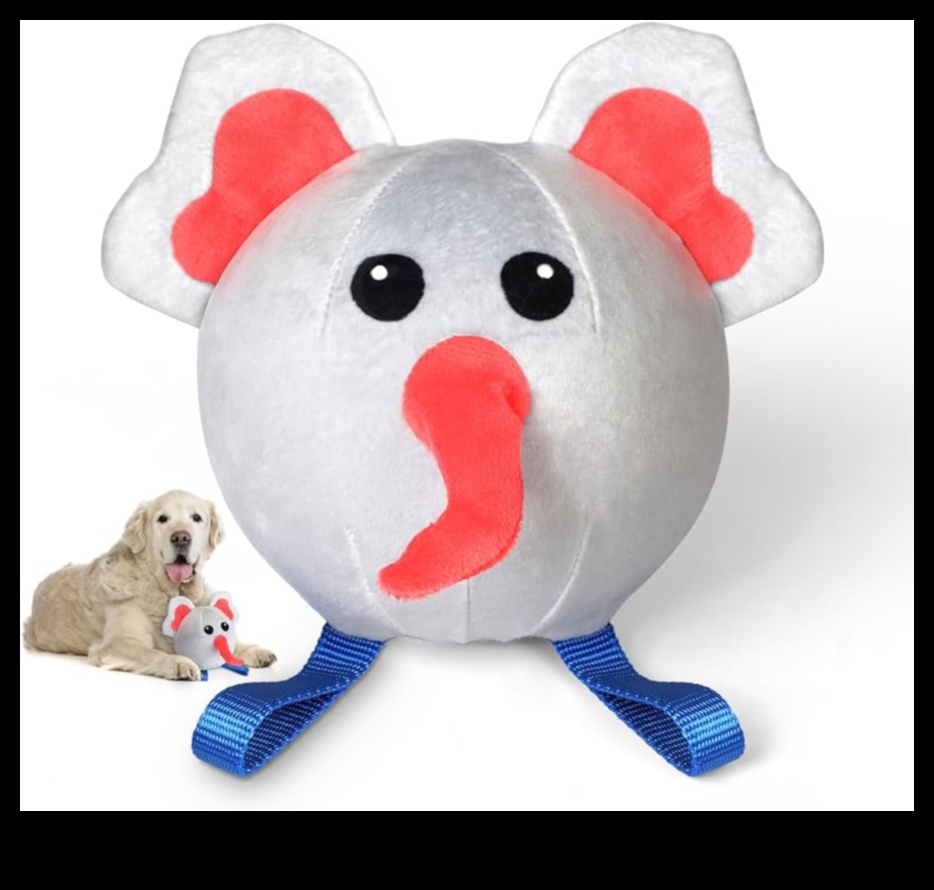 Pocket Pettime Playtime: כיף אינטראקטיבי לבעלי חיים קטנים