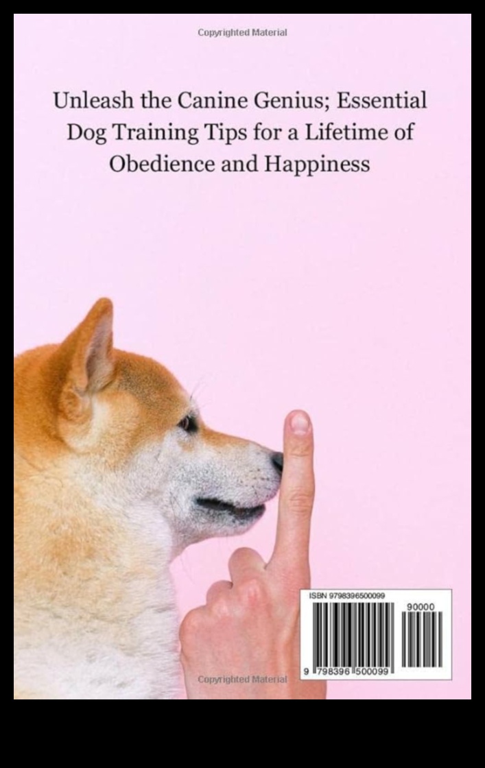 גן ילדים: טיפים חיוניים לאילוף לכלבים צעירים