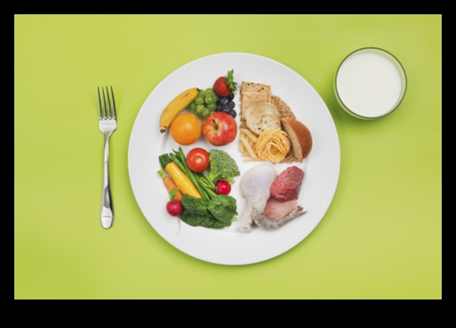 צלחות מבכירות בכירים: חוכמת התזונה הגריאטרית