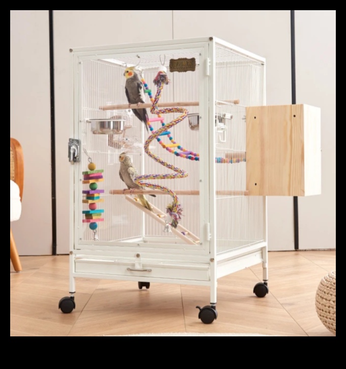 אביזרי עופות: תוספות אופנתיות לציפורי המחמד שלך