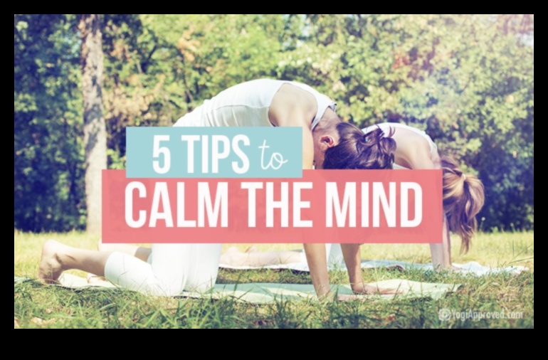 הפסקות אושר: רגעים של שלווה בטכניקות הרפיה מהירות