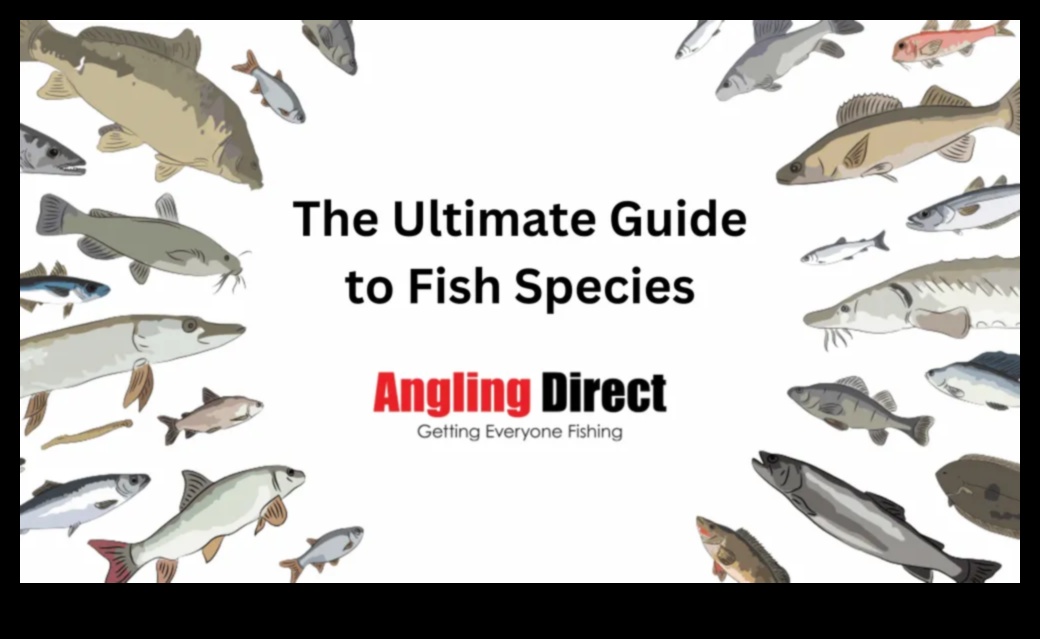 טכניקות התמודדות: בחירת הגישה הנכונה עבור דגים שונים