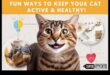 Feline Fitness Fiesta: הוספת גיוון לשגרת הפעילות הגופנית של החתול שלך
