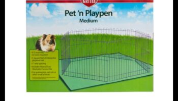 Pocket Pettime Playtime: כיף אינטראקטיבי לבעלי חיים קטנים