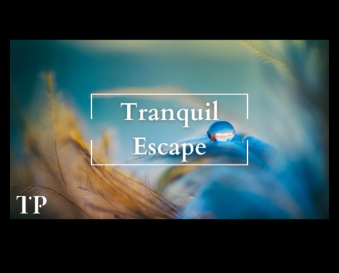 נסיגה מודעת: בריחה אל השלווה באמצעות טכניקות יעילות להפחתת מתחים