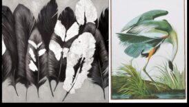 אביזרי עופות: תוספות אופנתיות לציפורי המחמד שלך