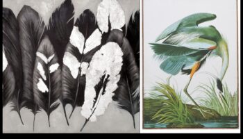 אביזרי עופות: תוספות אופנתיות לציפורי המחמד שלך