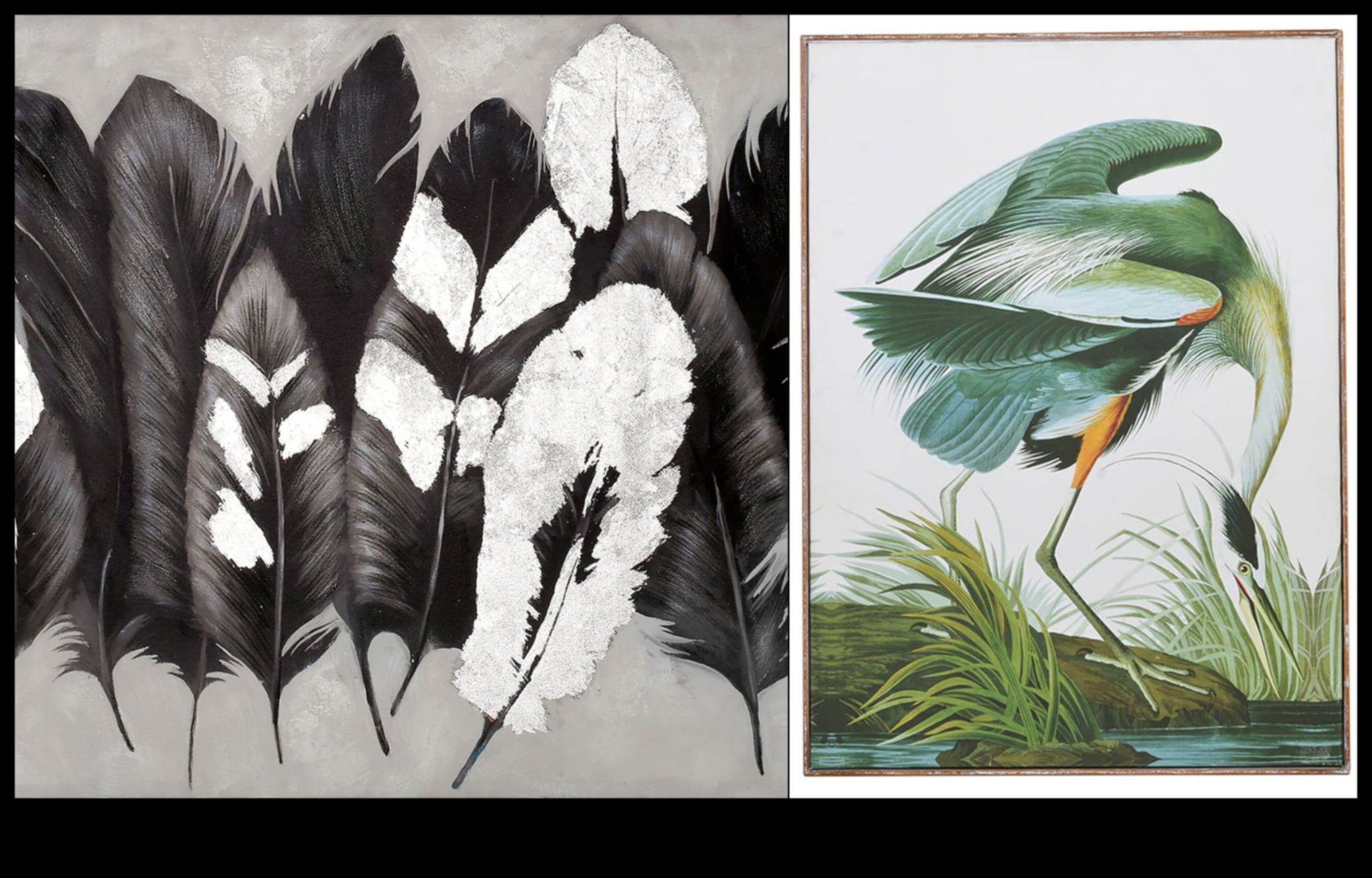 אביזרי עופות: תוספות אופנתיות לציפורי המחמד שלך