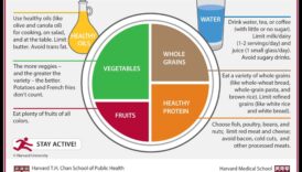 מיקסום ההשפעה התזונתית: יצירת תזונה בריאה יותר