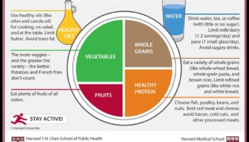 מיקסום ההשפעה התזונתית: יצירת תזונה בריאה יותר