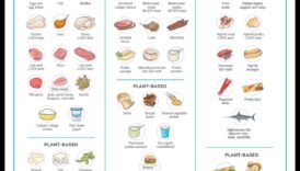 דיוק ביצועים: ניווט תזונת ספורט להצלחה