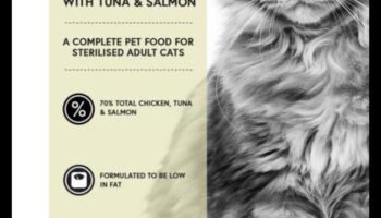 אנין חתולים: טיפים לבחירת מזון איכותי לחתולים