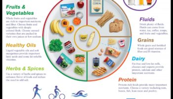 מגש הכסף: מדריך להצלחת תזונה גריאטרית