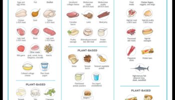 ספר הבישול של ספורטאים: הסודות הקולינריים של תזונת ספורט