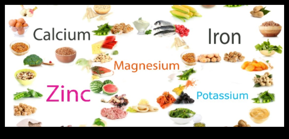 פתיחת בריאות: תפקידם של מינרלים בחיים מאוזנים